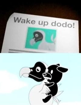 Wake Up! Dodo