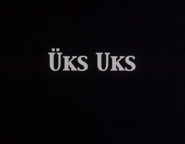 Üks Uks