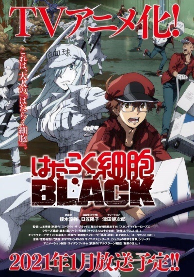 Hataraku Saibou Black (TV)