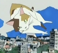 The Wind Cat